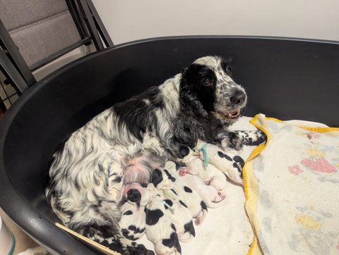 Xenia nach der Geburt